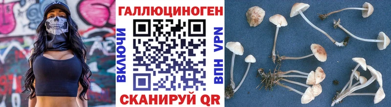 Купить  Кулебаки  Галлюциногенные грибы ЛСД 